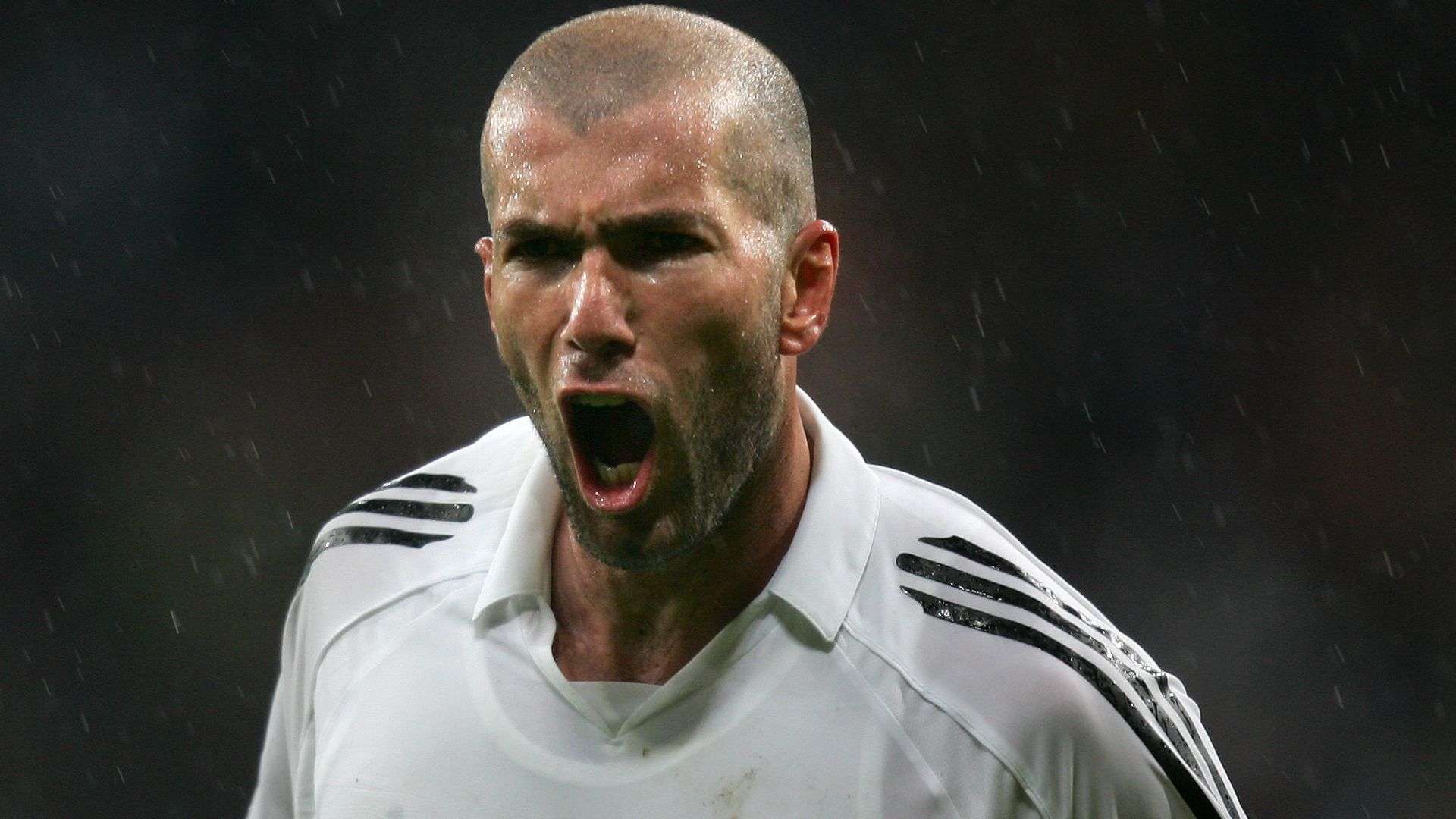 结合的象征 结合的象征