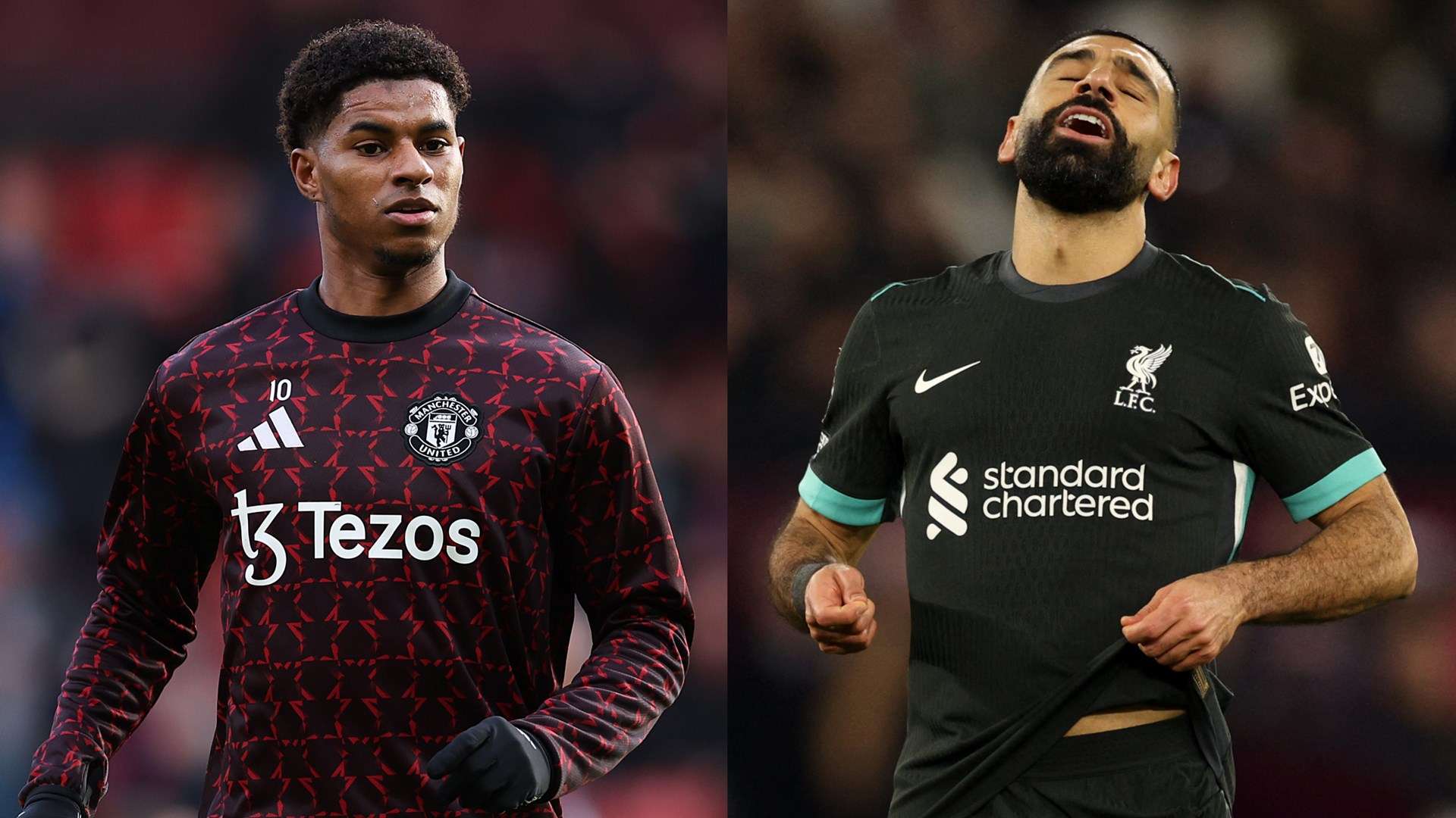 物的行為標 物的行為標